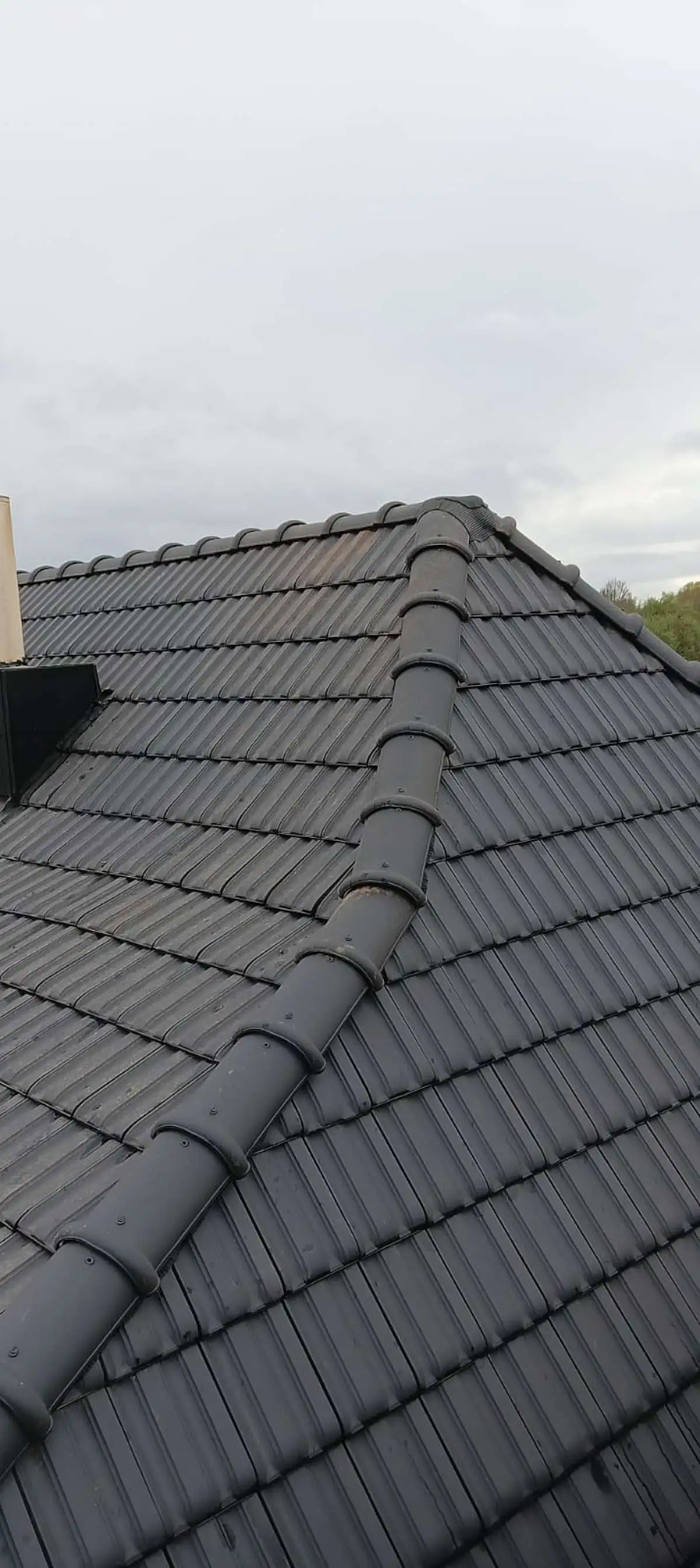 Roof tile renovation